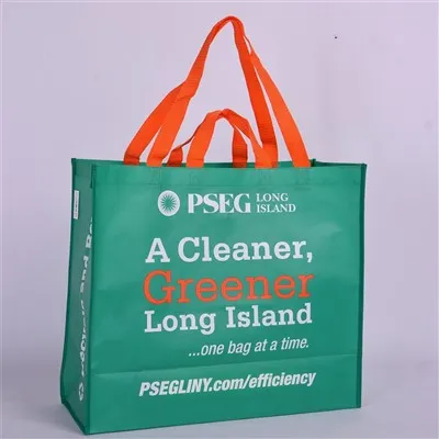 Çin'deki en iyi 10 yeniden kullanılabilir çanta Fabrikası